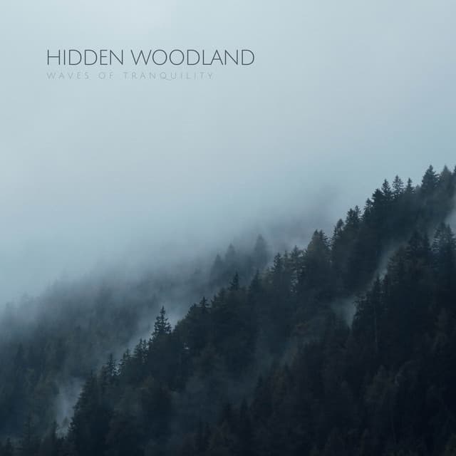 Hidden Woodland - Waves of Tranquility