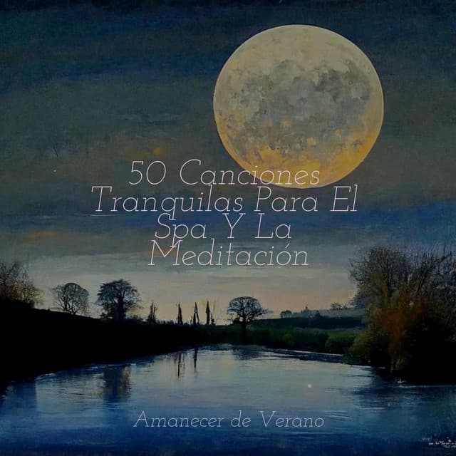 50 Canciones Tranquilas Para El Spa Y La Meditación - Piano Suave Relajante