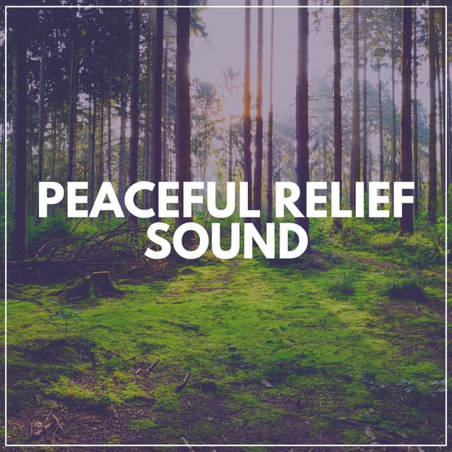 Peaceful Relief Sound - Sounds of Nature Noise
