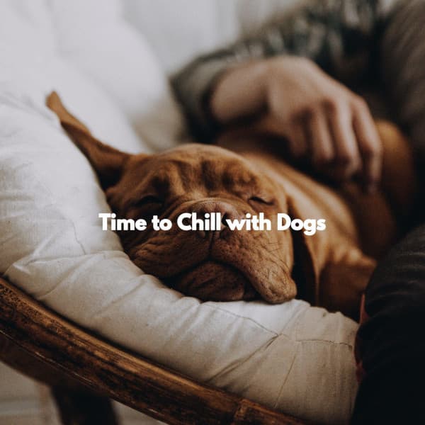 Time to Chill with Dogs - Sunday Evening Music