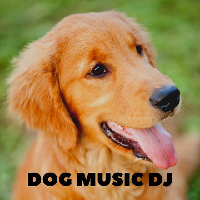 Dog Lullaby Songs - Dog Music DJ