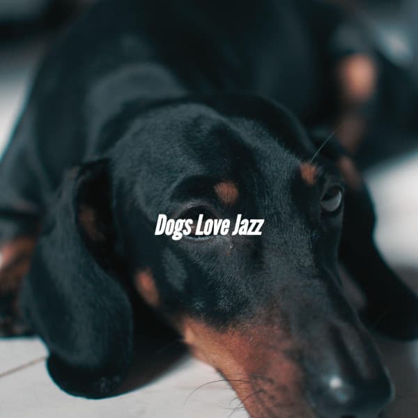 Dogs Love Jazz - Classic Instrumental Jazz