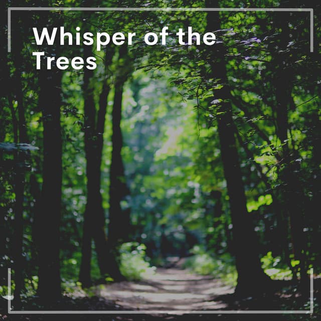 Whisper of the Trees - Inspiring Tranquil Sounds