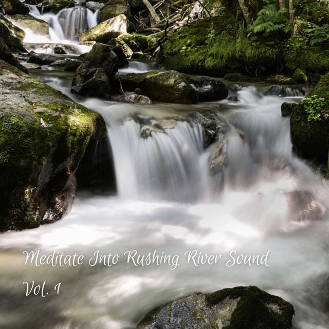 Meditate Into Rushing River Sound Vol. 1 - The Focus and Meditation Boys