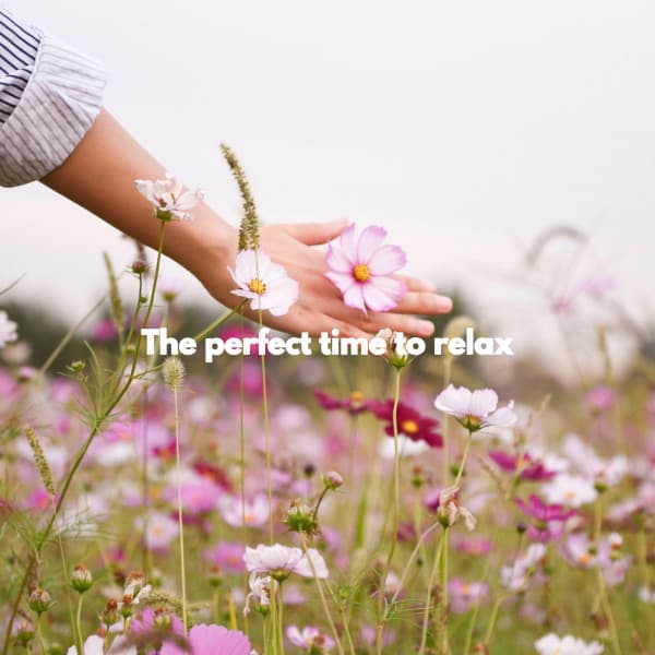 The perfect time to relax - Easy Sunday Morning Music