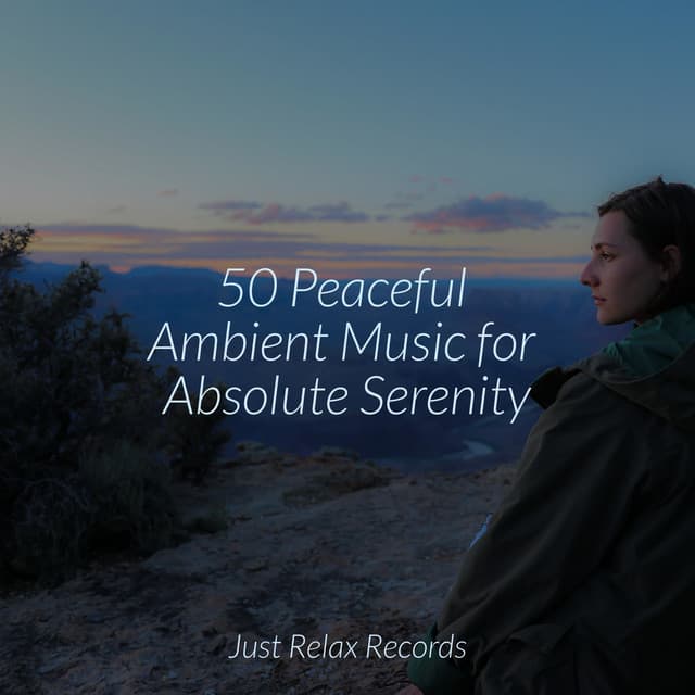 50 Peaceful Ambient Music for Absolute Serenity - Study Music & Sounds