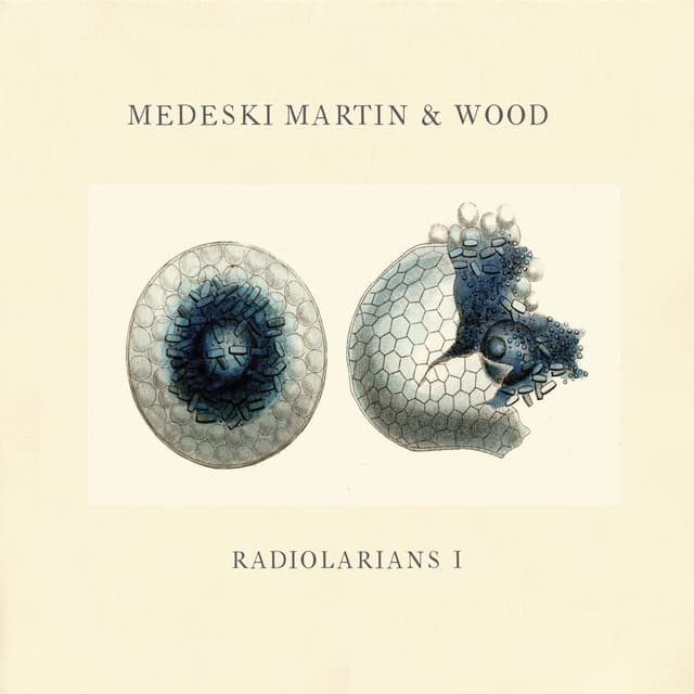 Radiolarians 1 - Medeski, Martin & Wood