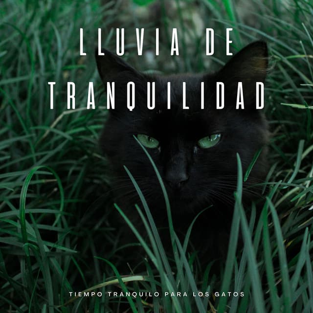 Lluvia De Tranquilidad: Tiempo Tranquilo Para Los Gatos - Proyecto Música para Gatos