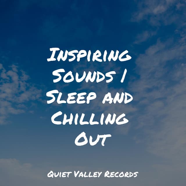 Inspiring Sounds | Sleep and Chilling Out - Zarobi