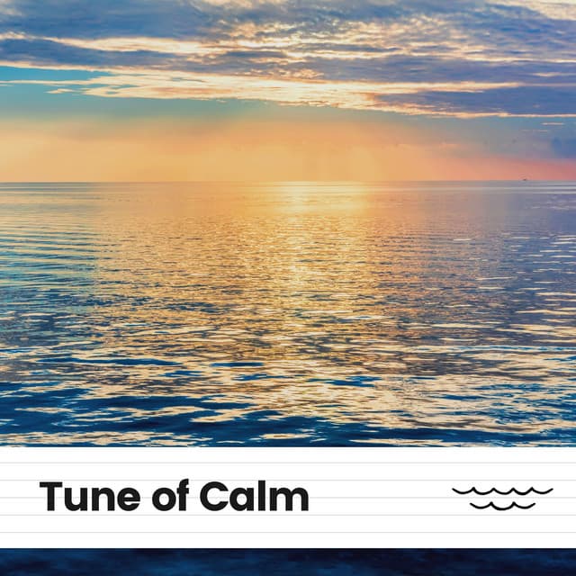 Tune of Calm - Stress Relief Calm Oasis