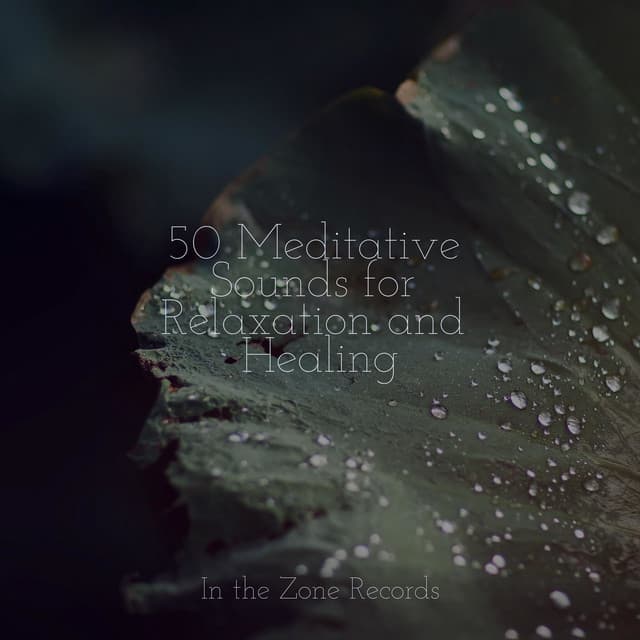 50 Meditative Sounds for Relaxation and Healing - Chinese Relaxation and Meditation