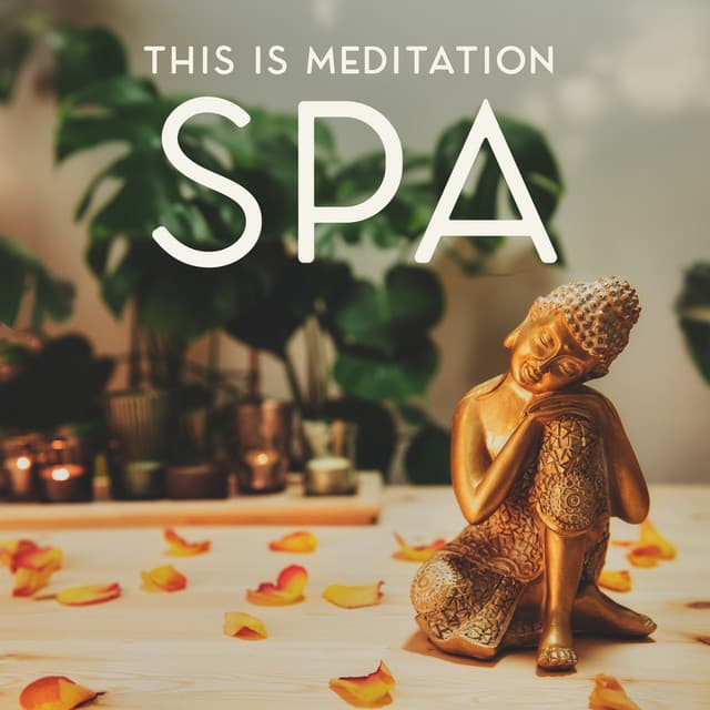 This is Meditation Spa: Wonderful Chinese Zen Healing Sounds - Tranquility Spa Center