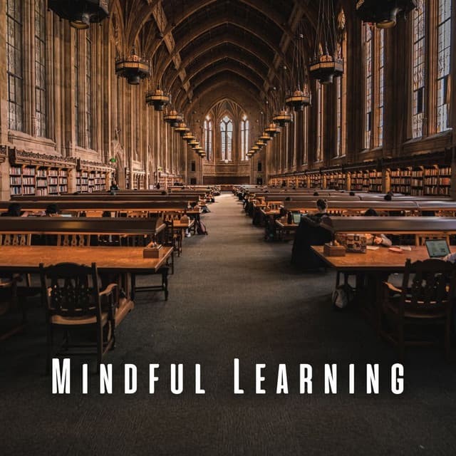 Mindful Learning: Meditation Music for Thoughtful Study - Dreamy Thoughts