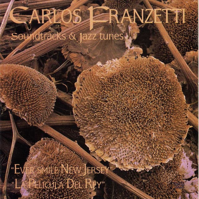 Soundtracks & Jazz Tunes - Carlos Franzetti