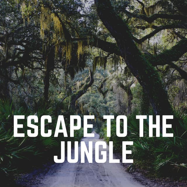 Escape to the Jungle - Nature Of Sweden