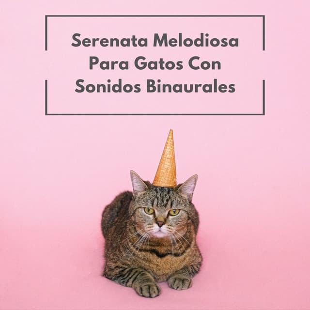 Serenata Melodiosa Para Gatos Con Sonidos Binaurales - Música Relajante para Gatos