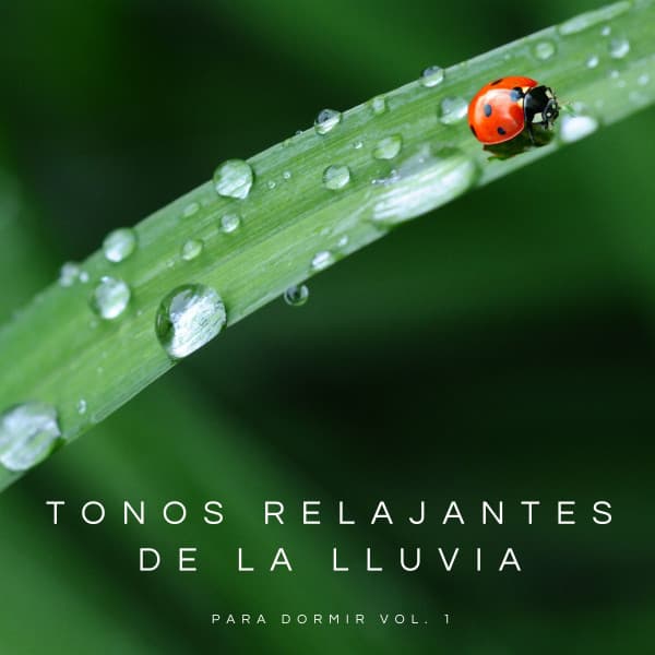 Tonos Relajantes De La Lluvia Para Dormir Vol. 1 - Meditación Con Ruido Blanco