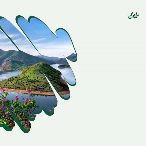 Relaxing Rituals - Piano Bar Lounge