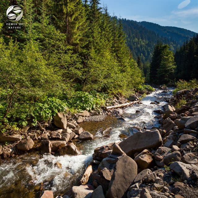 Summer Stream Sounds - Mystic Nature