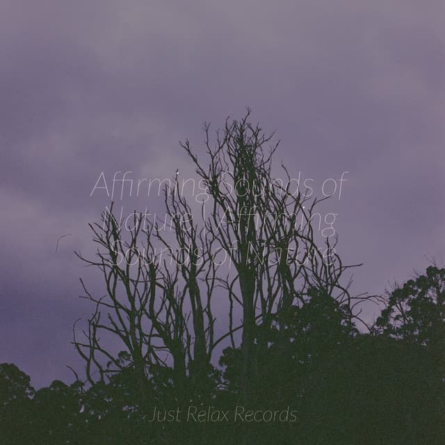 Affirming Sounds of Nature | Affirming Sounds of Nature - Sonido Del Bosque y Naturaleza