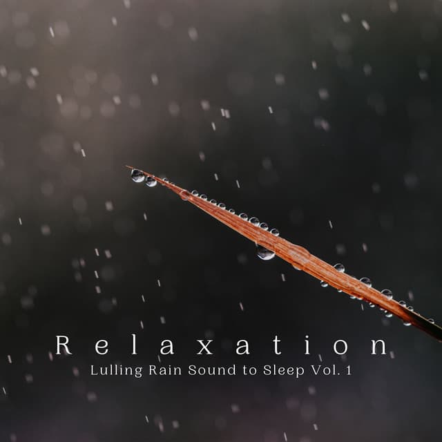Relaxation: Lulling Rain Sound to Sleep Vol. 1 - Rain Sleep Sound and White Noise