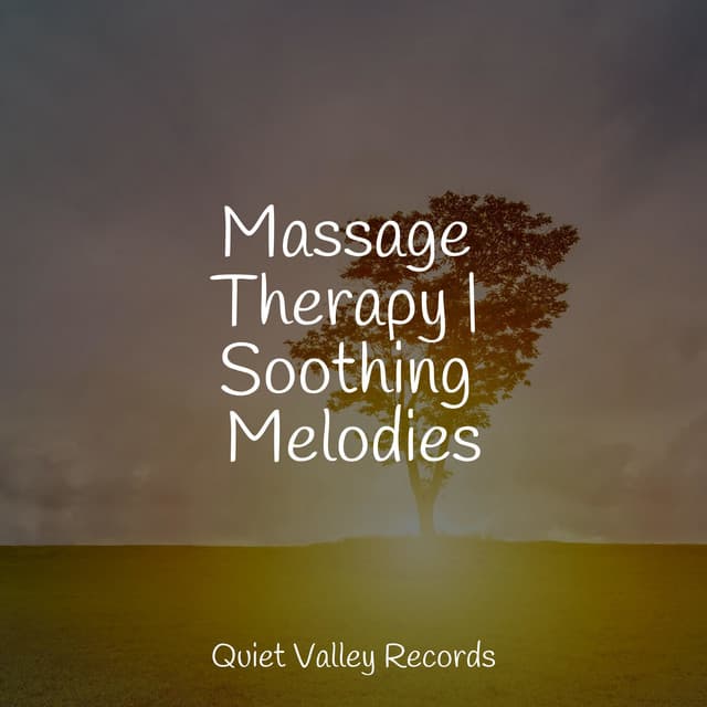 Massage Therapy | Soothing Melodies - Rain Drops for Sleep