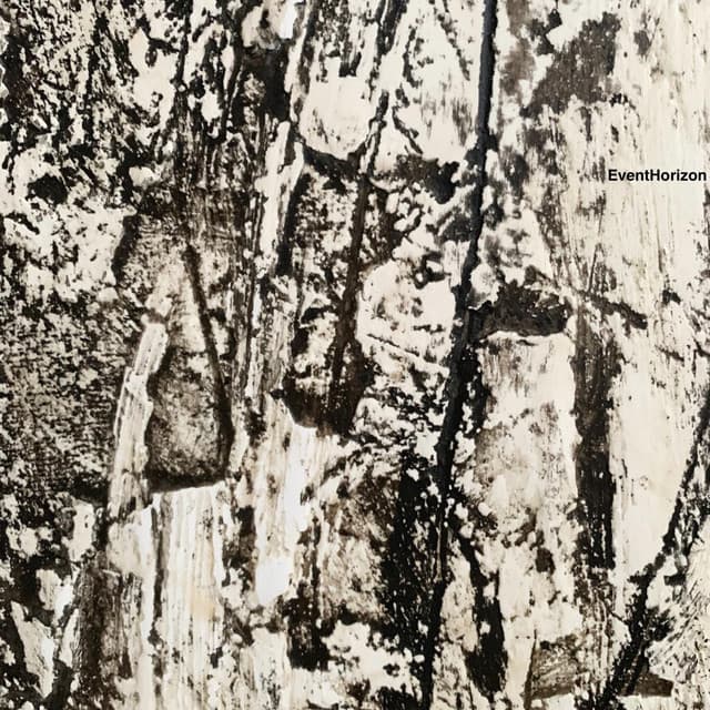 Event Horizon - David Kollar