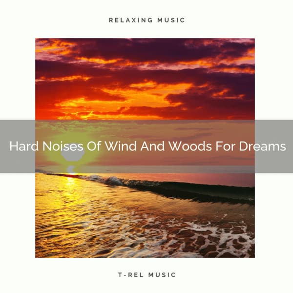 Hard Noises Of Wind And Woods For Dreams - Noise Makers