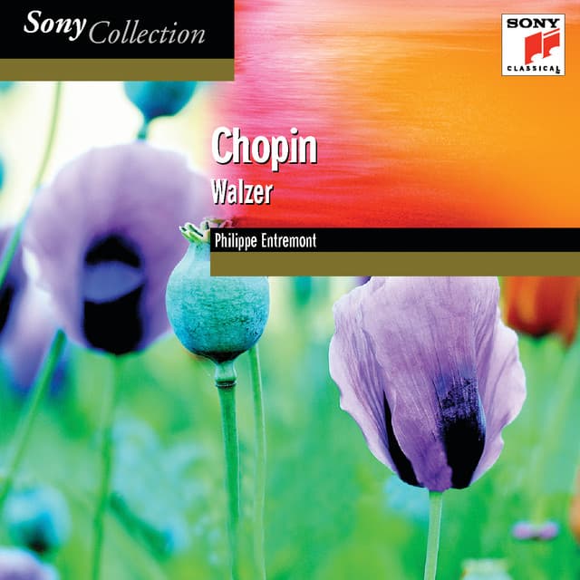 Walzer - Frédéric Chopin