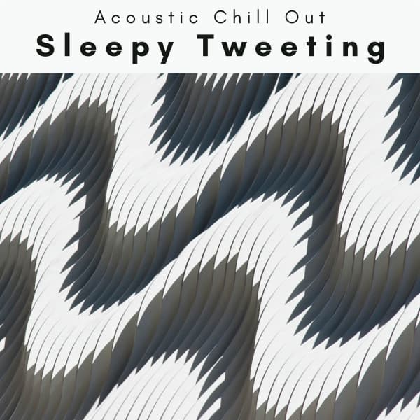 4 Sleepy Tweeting - Acoustic Chill Out