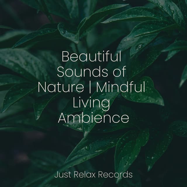 Beautiful Sounds of Nature | Mindful Living Ambience - Chillout Lounge