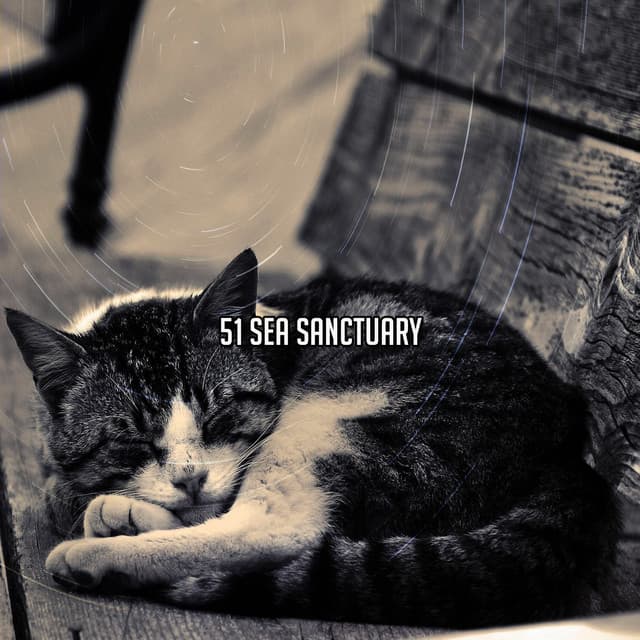 51 Sea Sanctuary - Smart Baby Lullabies